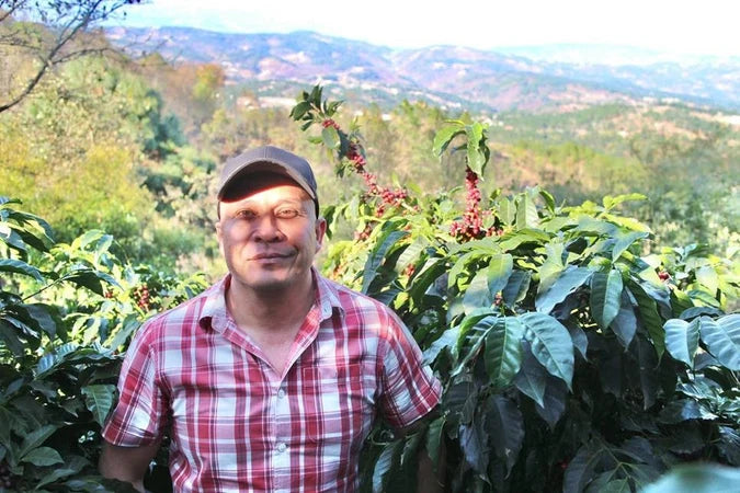GUATEMALA | Anaerobic Natural